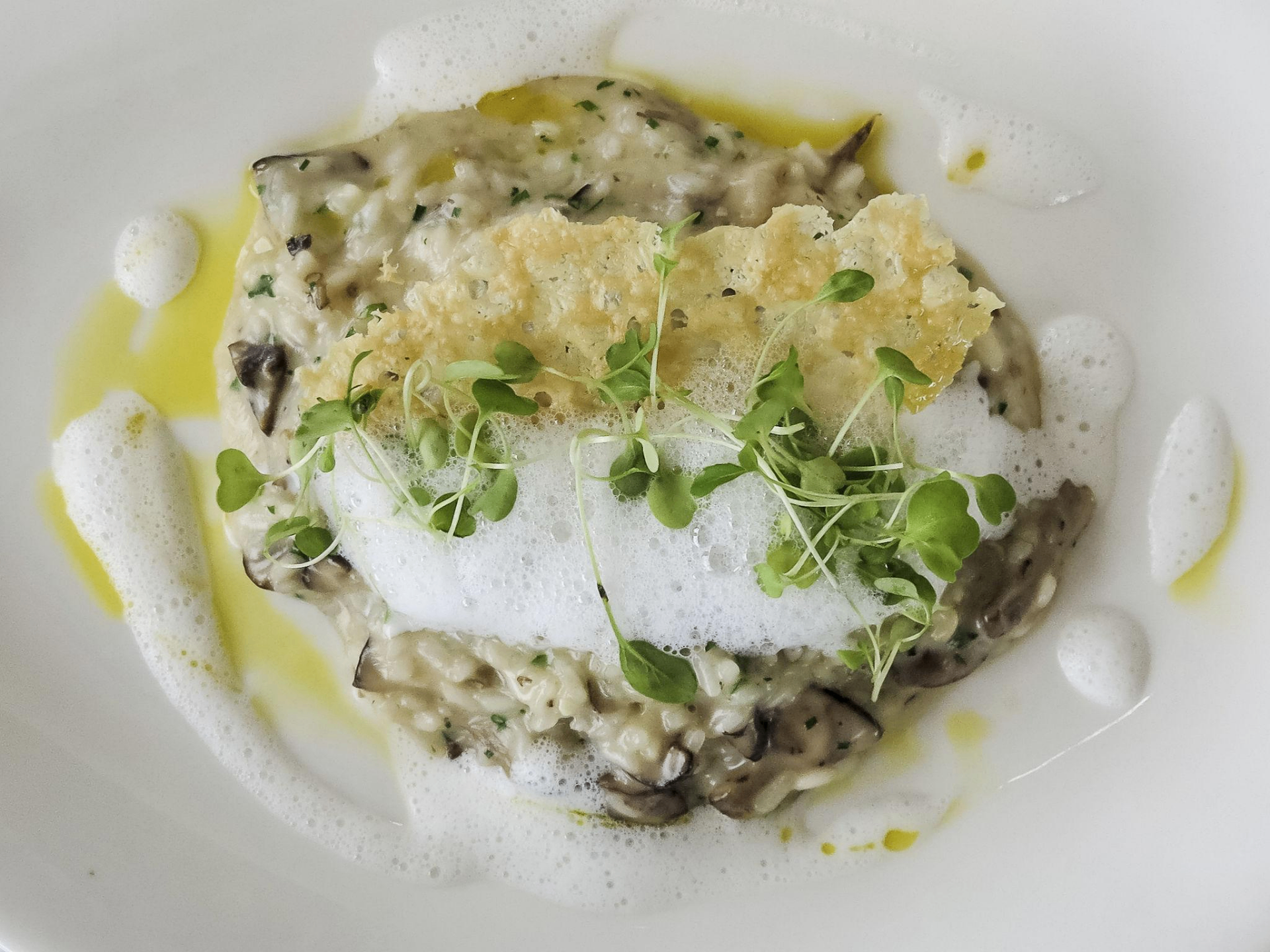 Risotto al Parmigiano